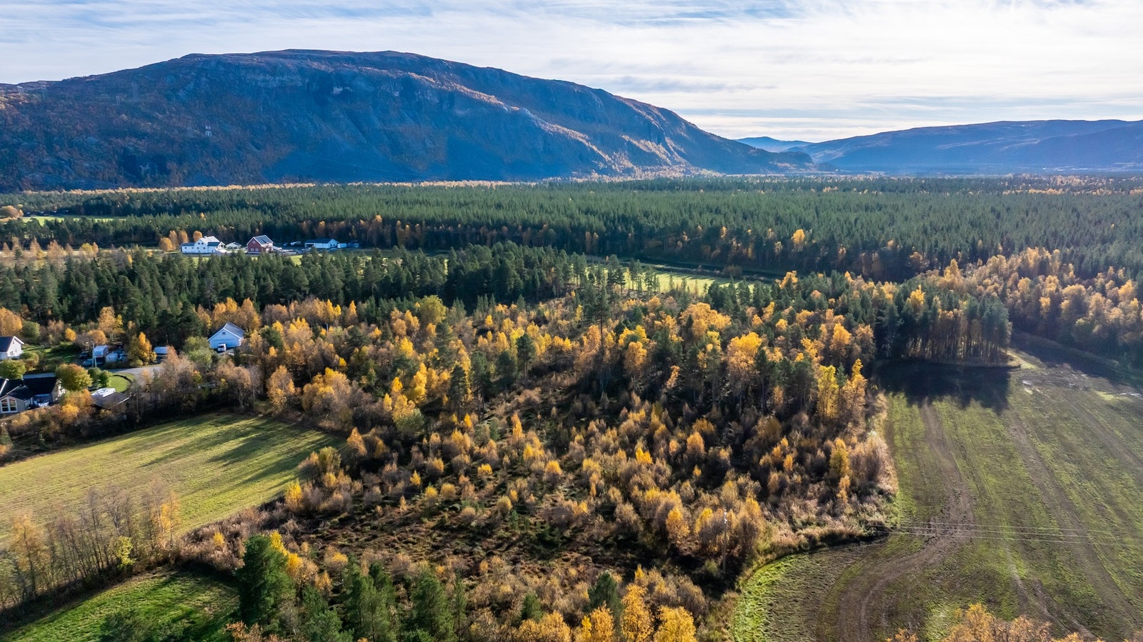 Dronefoto av tomten og nærområdet Galleribilde