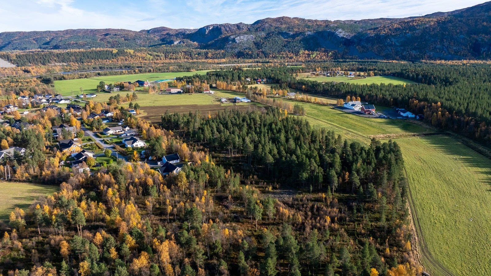 Dronefoto av tomten og nærområdet Galleribilde