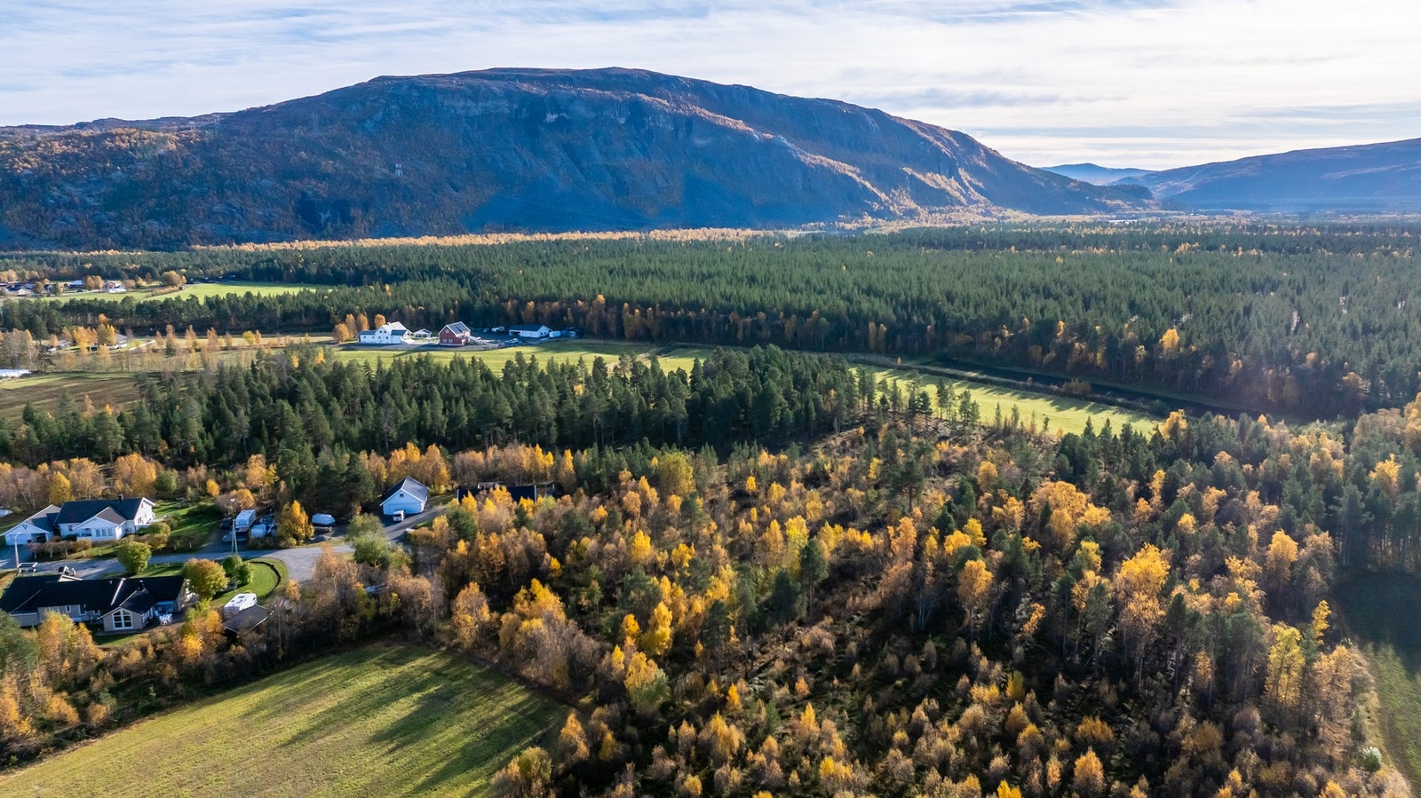Dronefoto av tomten og nærområdet Galleribilde