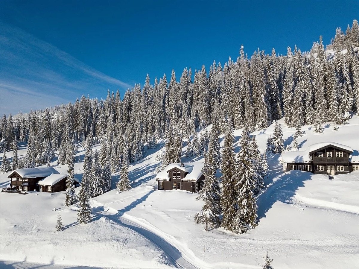 Fin beliggenhet i solhellinga Galleribilde