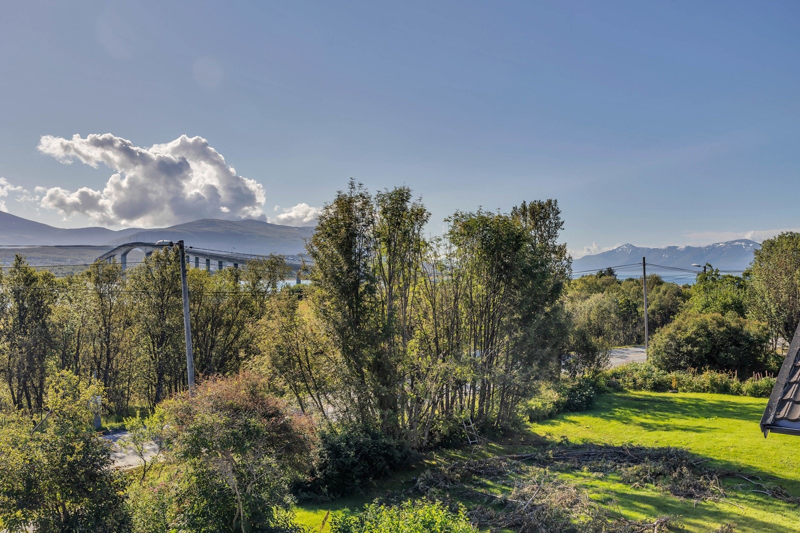 Utsikt på sommeren Galleribilde