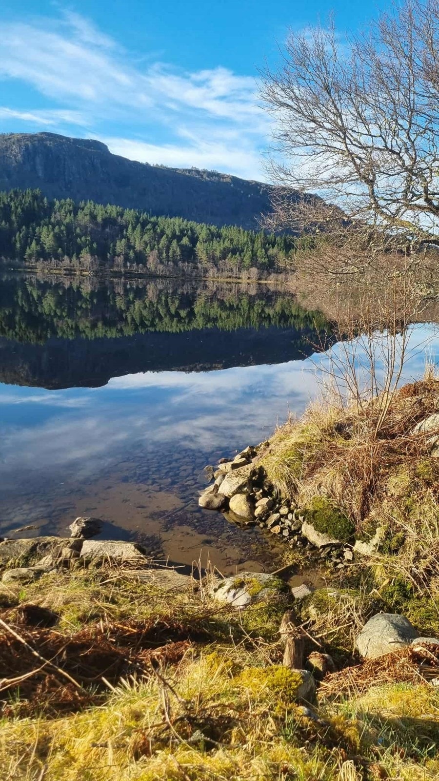 Fra eiendommen ved Vatnevannet Galleribilde