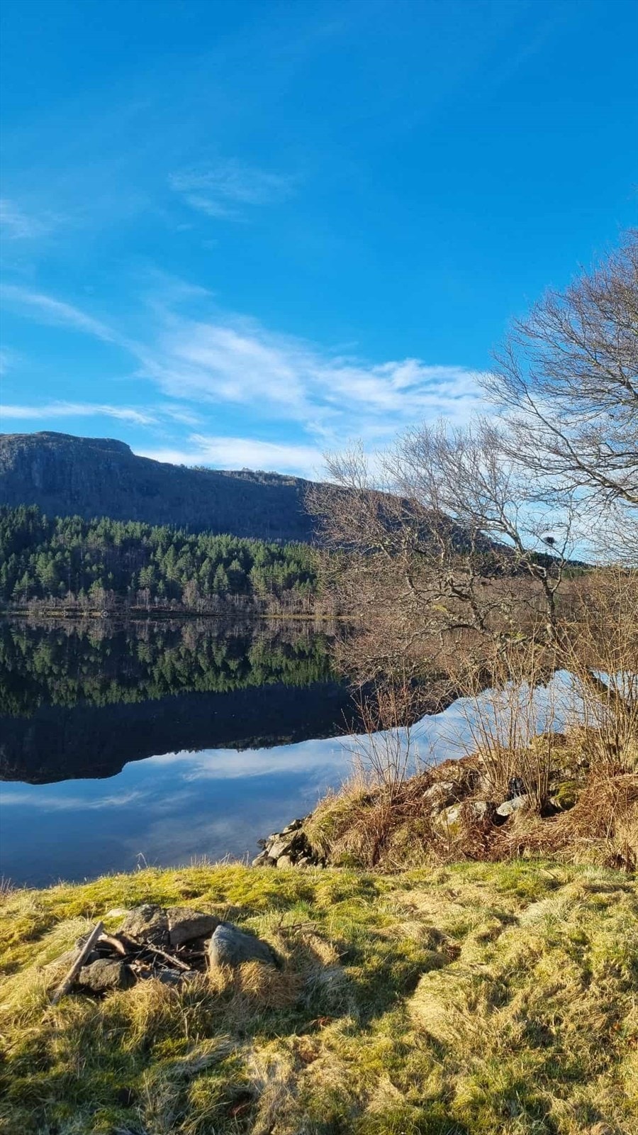 Fra eiendommen ved Vatnevannet Galleribilde