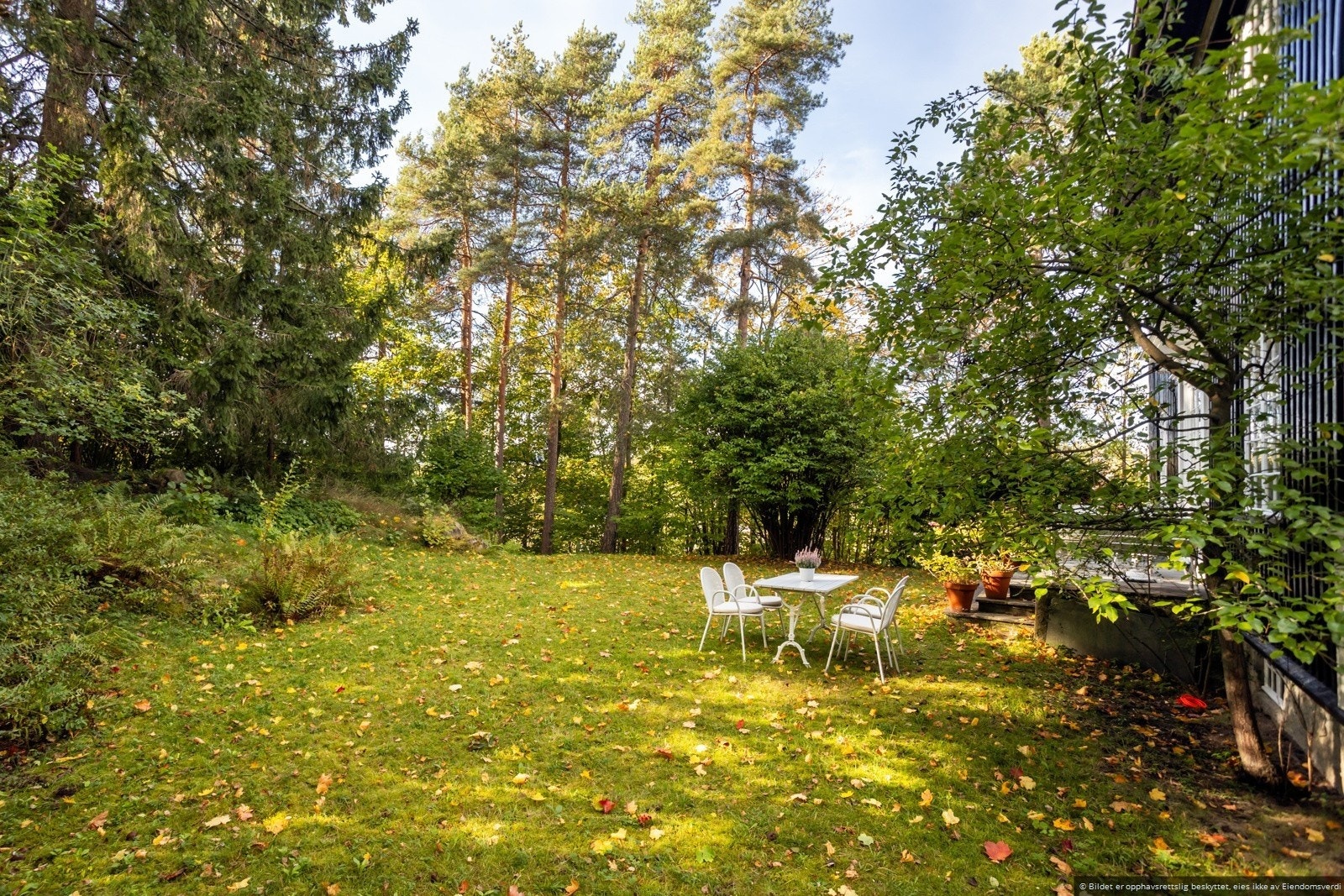 Stor hage med boltreplass for store og små. Galleribilde