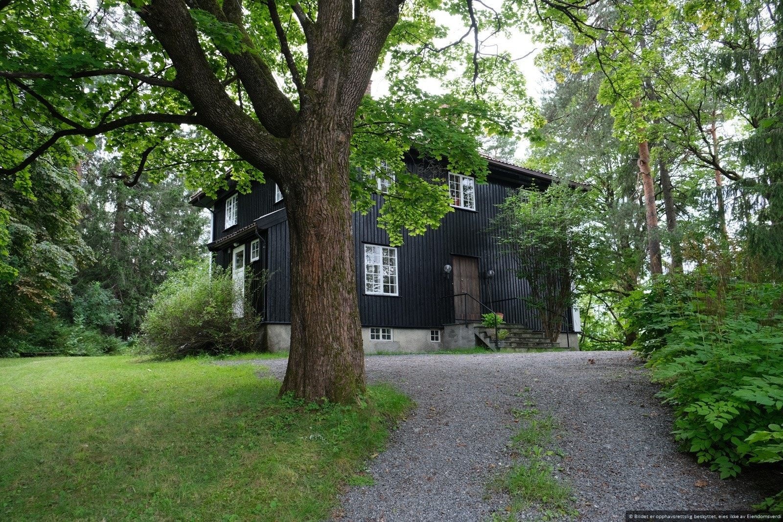 Det er flere biloppstillingsplasser på egen tomt. Galleribilde