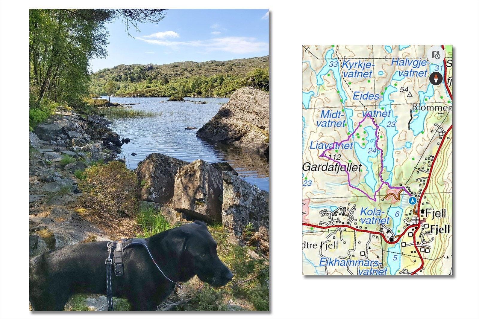 - Nærområdet - Galleribilde