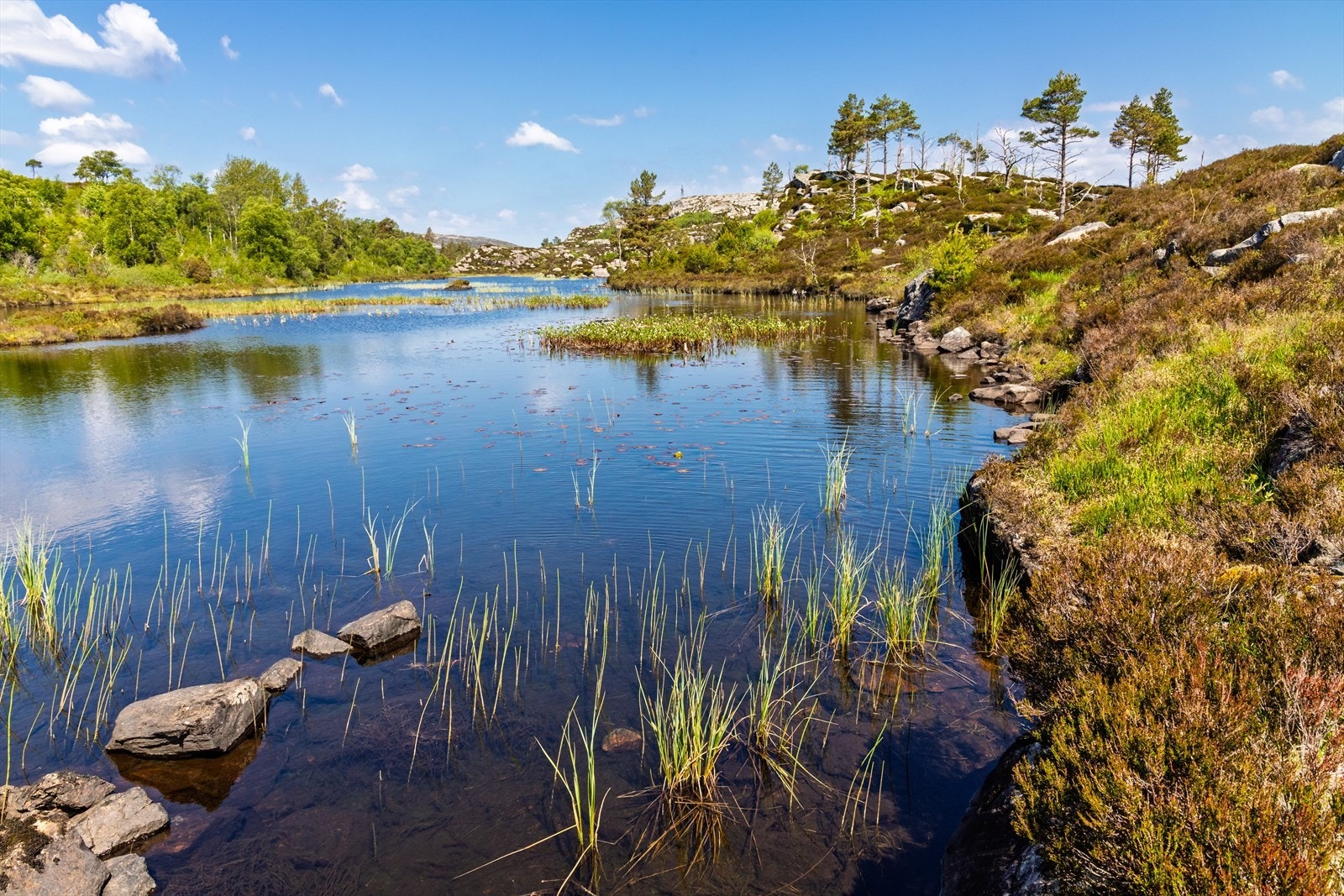 - Nærhet til nydelige turmuligheter - Galleribilde