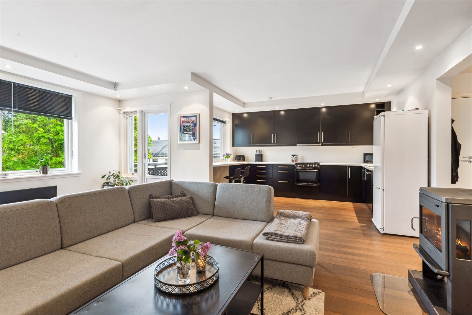 Velkommen til Oberst Krebs Gate 1! Galleribilde