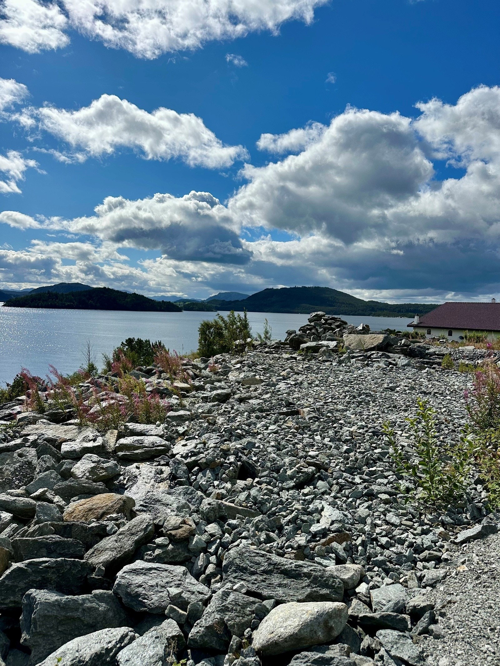 Bustadtomt2 Galleribilde