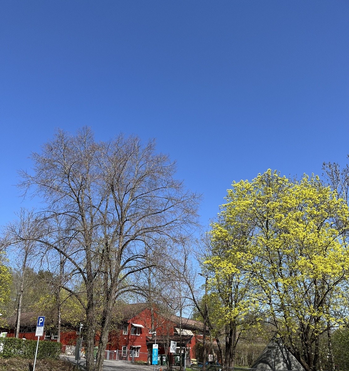 Uteområde Galleribilde