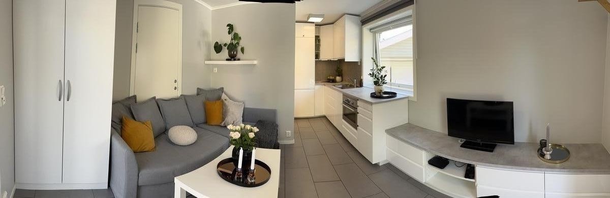 Sovesofa med stor madrass (oppbevart i sofa) Galleribilde