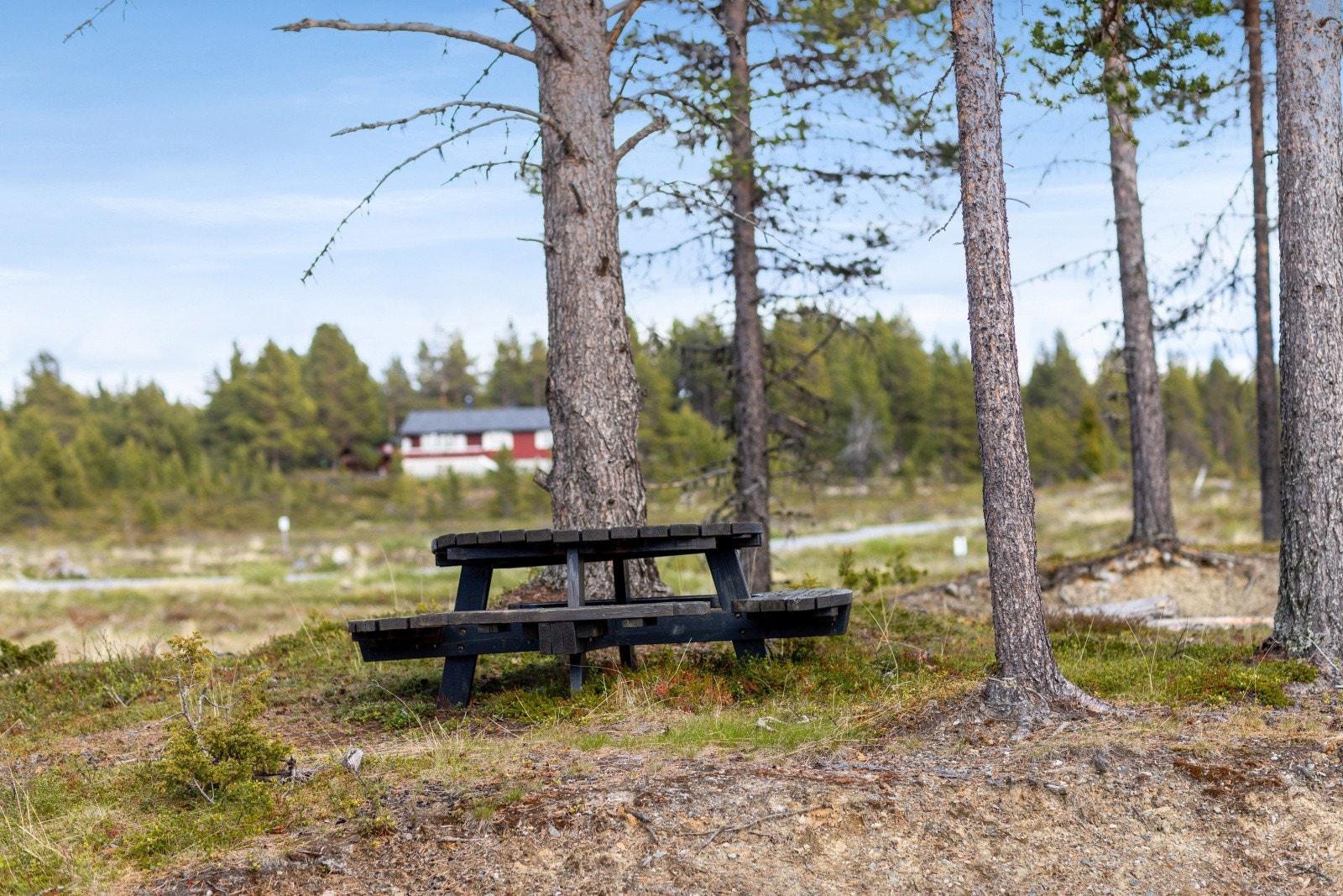 Flotte turmuligheter året rundt Galleribilde