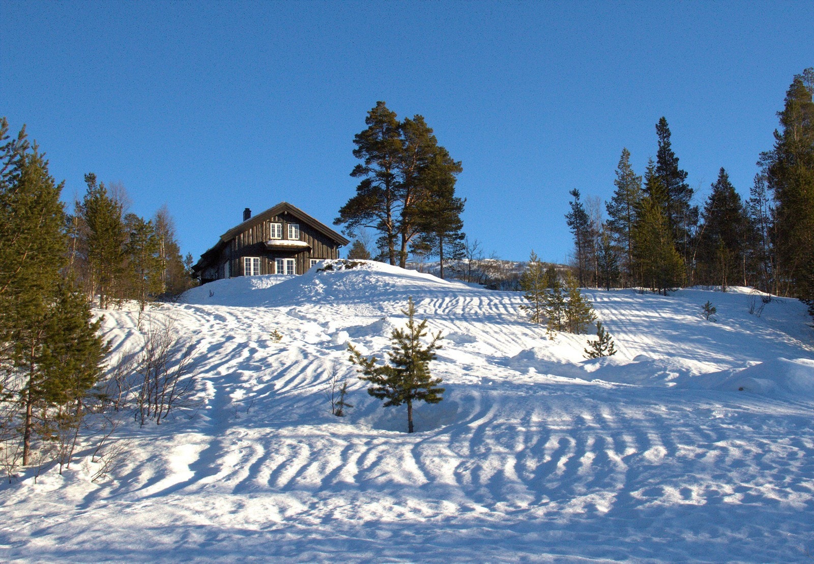 Akebakke og hoppbakke rett foran hytten. Galleribilde