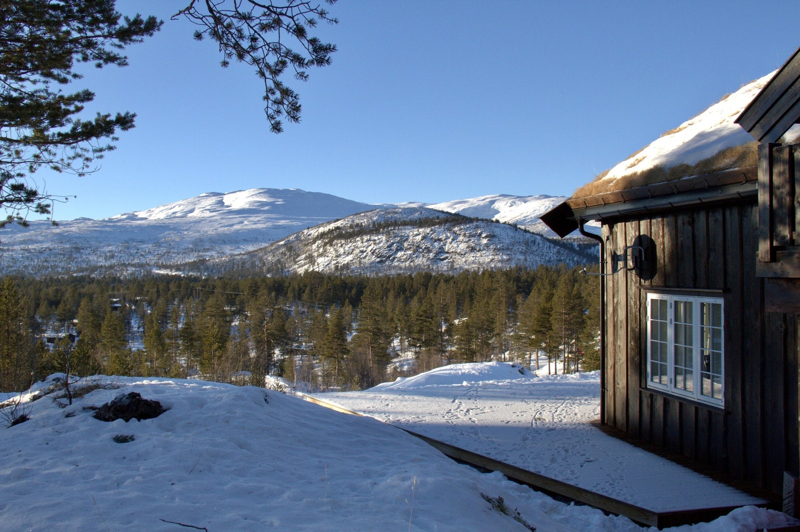 Vinterstemning mot Ørnefjell og Svånuten. Galleribilde