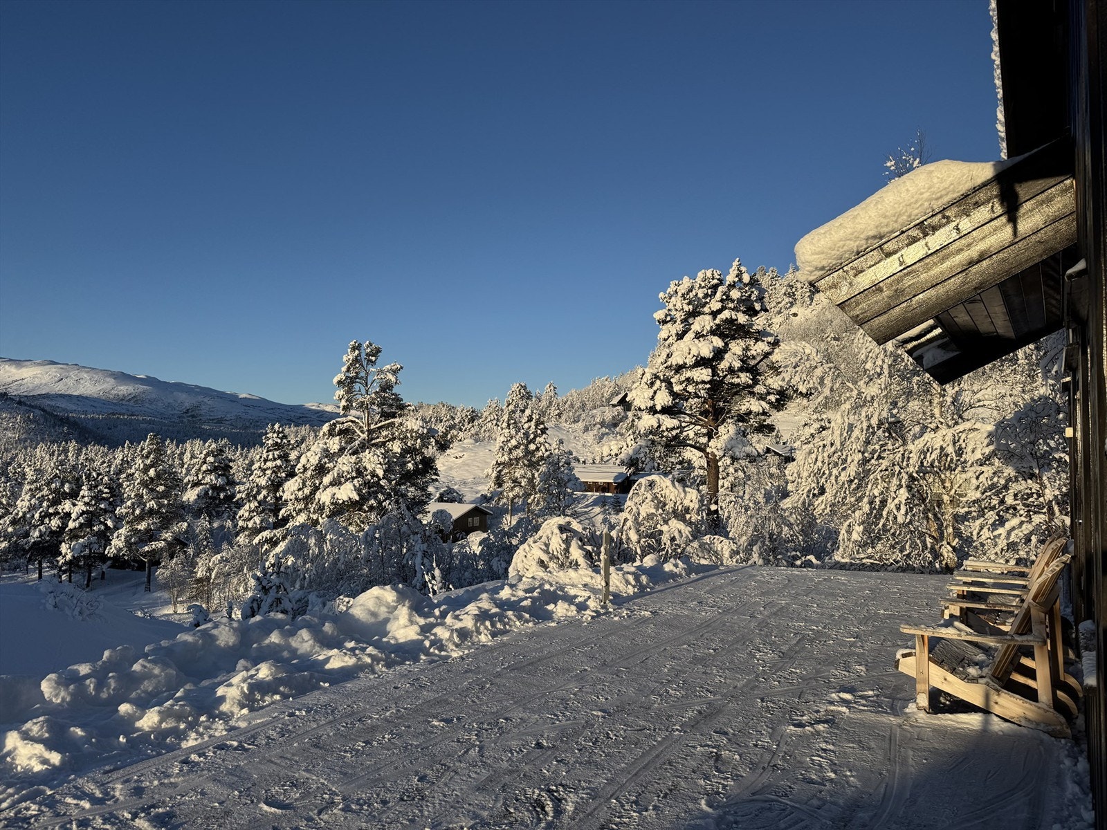 Selgers egne bilder av vinterstemningen. Galleribilde