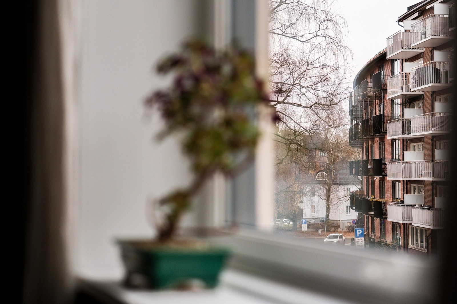 Gjøvikgata er en rolig enveiskjørt sidegate på Bjølsen. Galleribilde