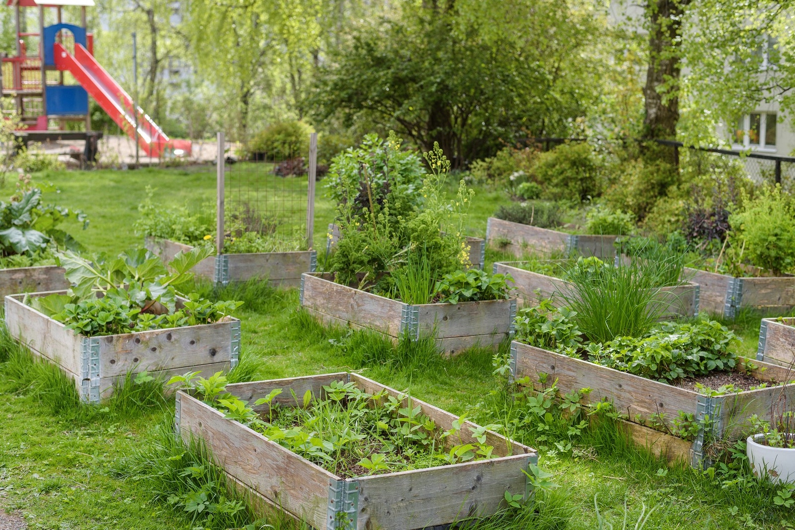 Veldrevet borettslag med pent opparbeidet fellesareale. Galleribilde