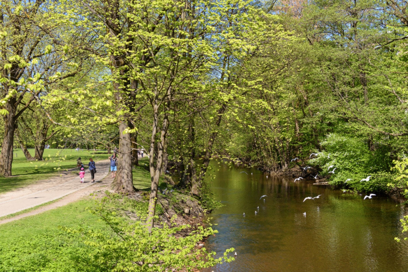Akerselva med tursti som "nærmeste nabo". Galleribilde