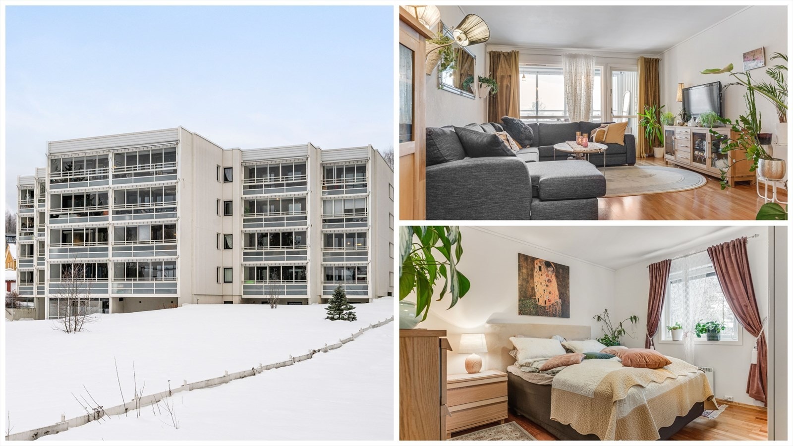 Velkommen til St. Hanshaugen og Skogvegen 19! Galleribilde