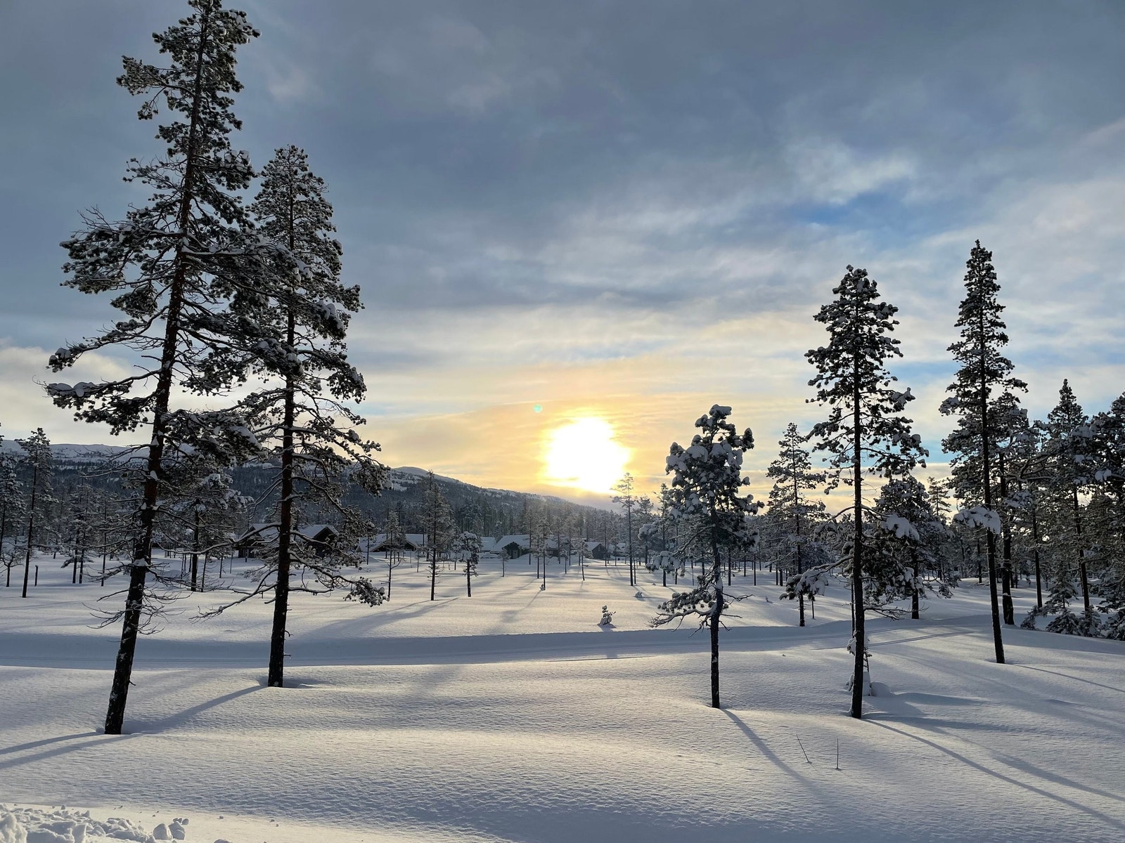 Det preparerte skisport rett forran hytten passer perfekt for store og små. Galleribilde