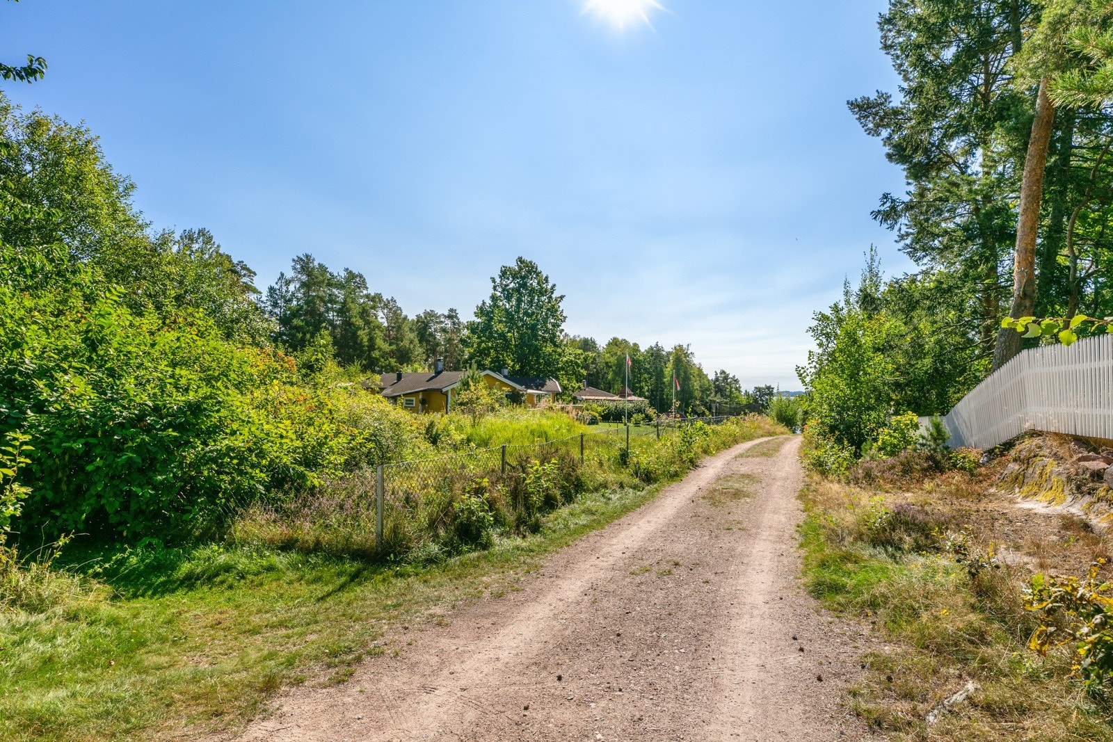 Bilvei frem til tomten. Galleribilde