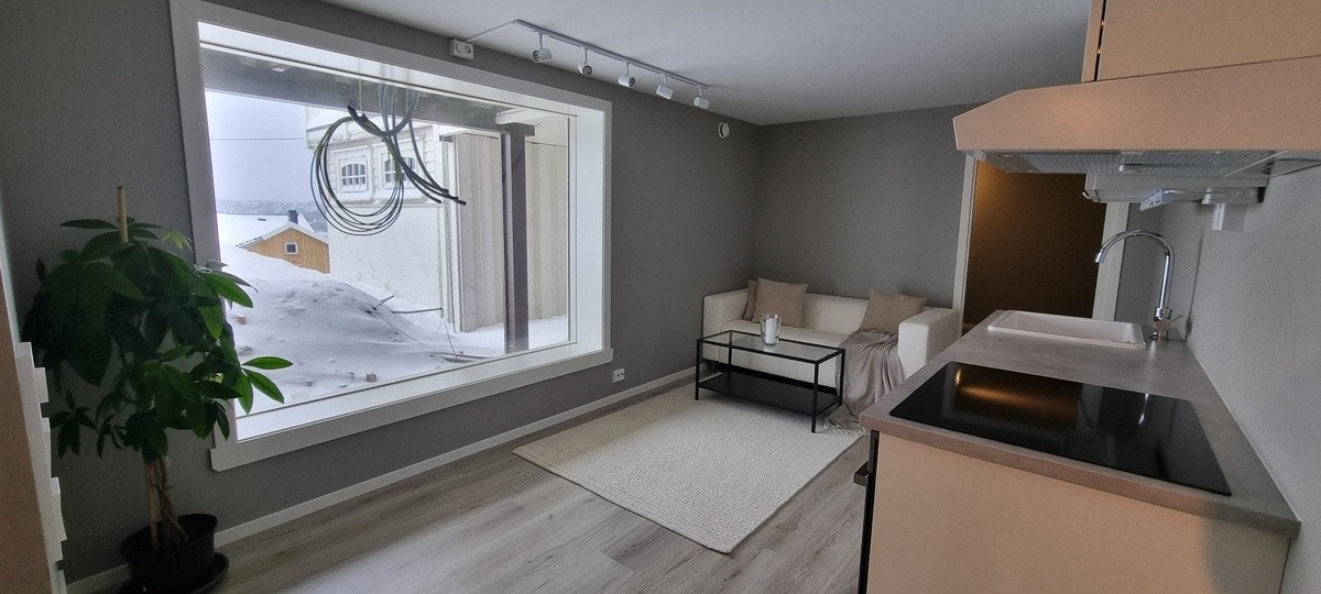 Stue og kjøkken i et. Galleribilde