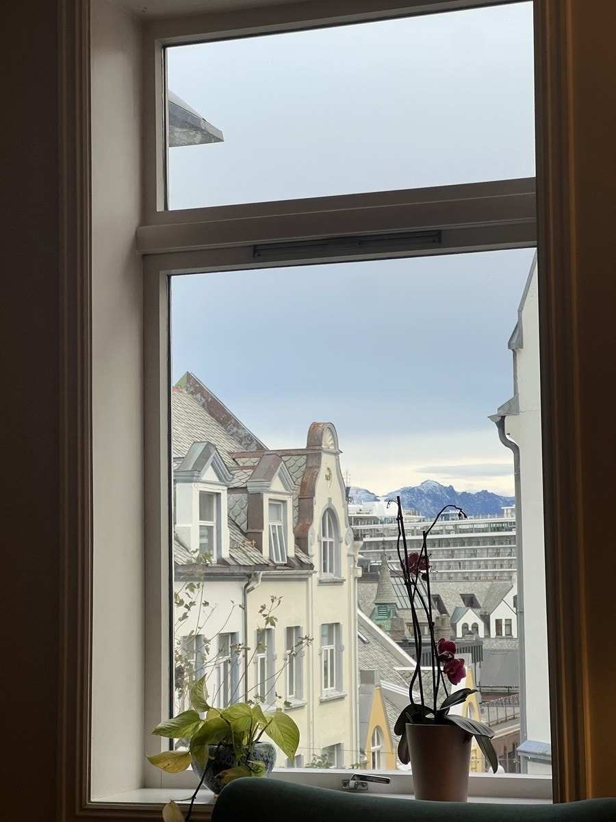 Utsikt fra stue - her ser en de fine sunnmørsalpene og cruiseskipene som ligger inne Galleribilde