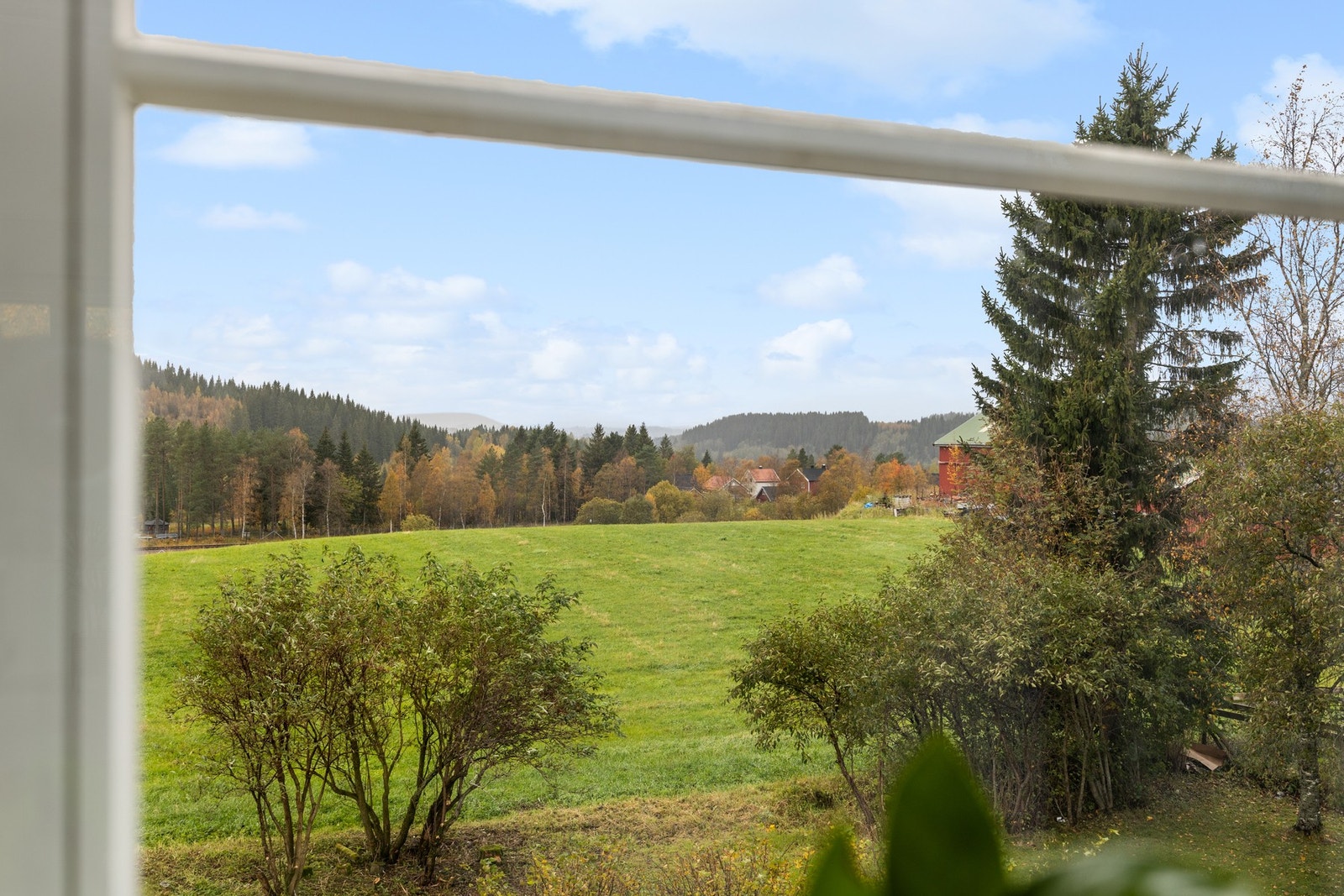 Landlig utsikt Galleribilde