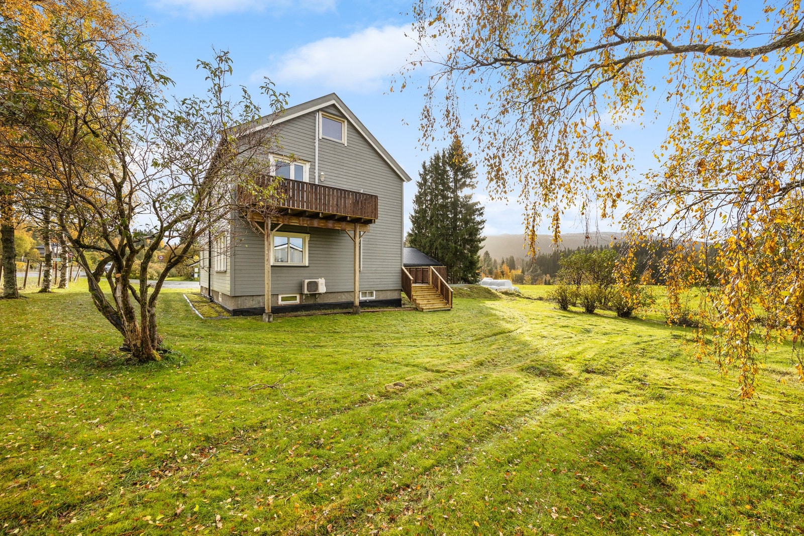 Det er godt med både busker og trær Galleribilde