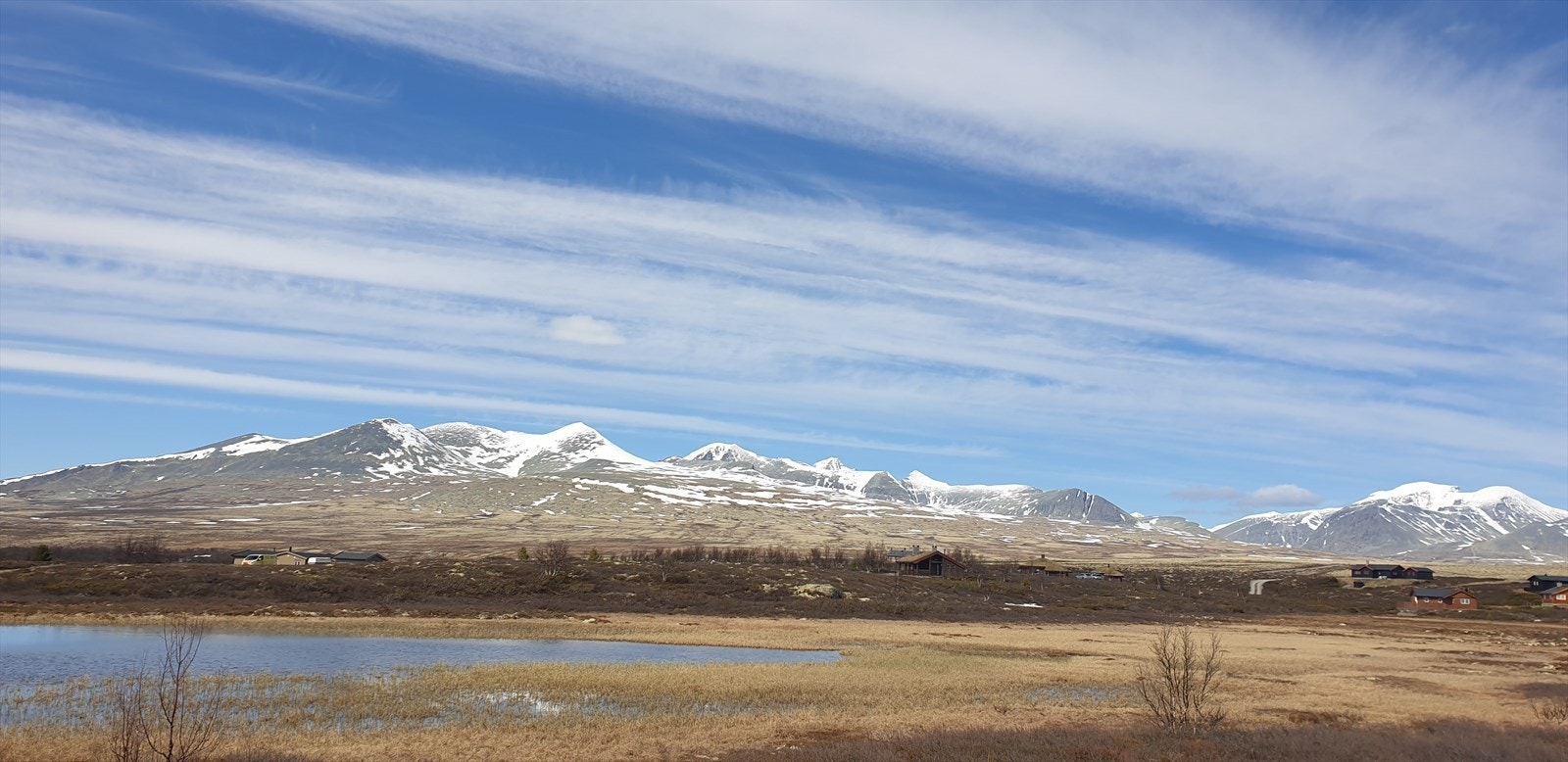 Smiubelgin i oktober. Galleribilde