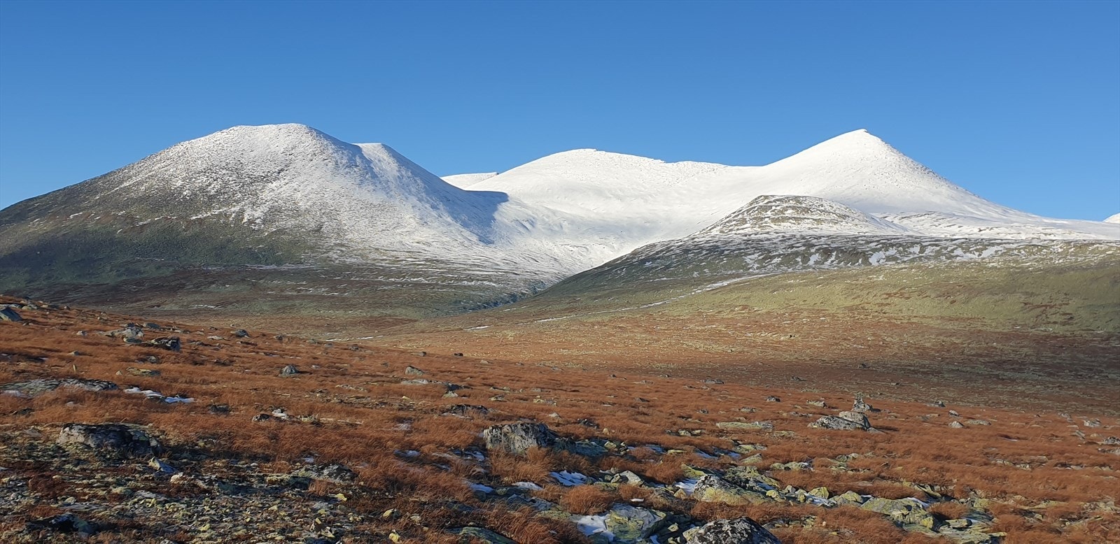 På jakt i oktober. Galleribilde