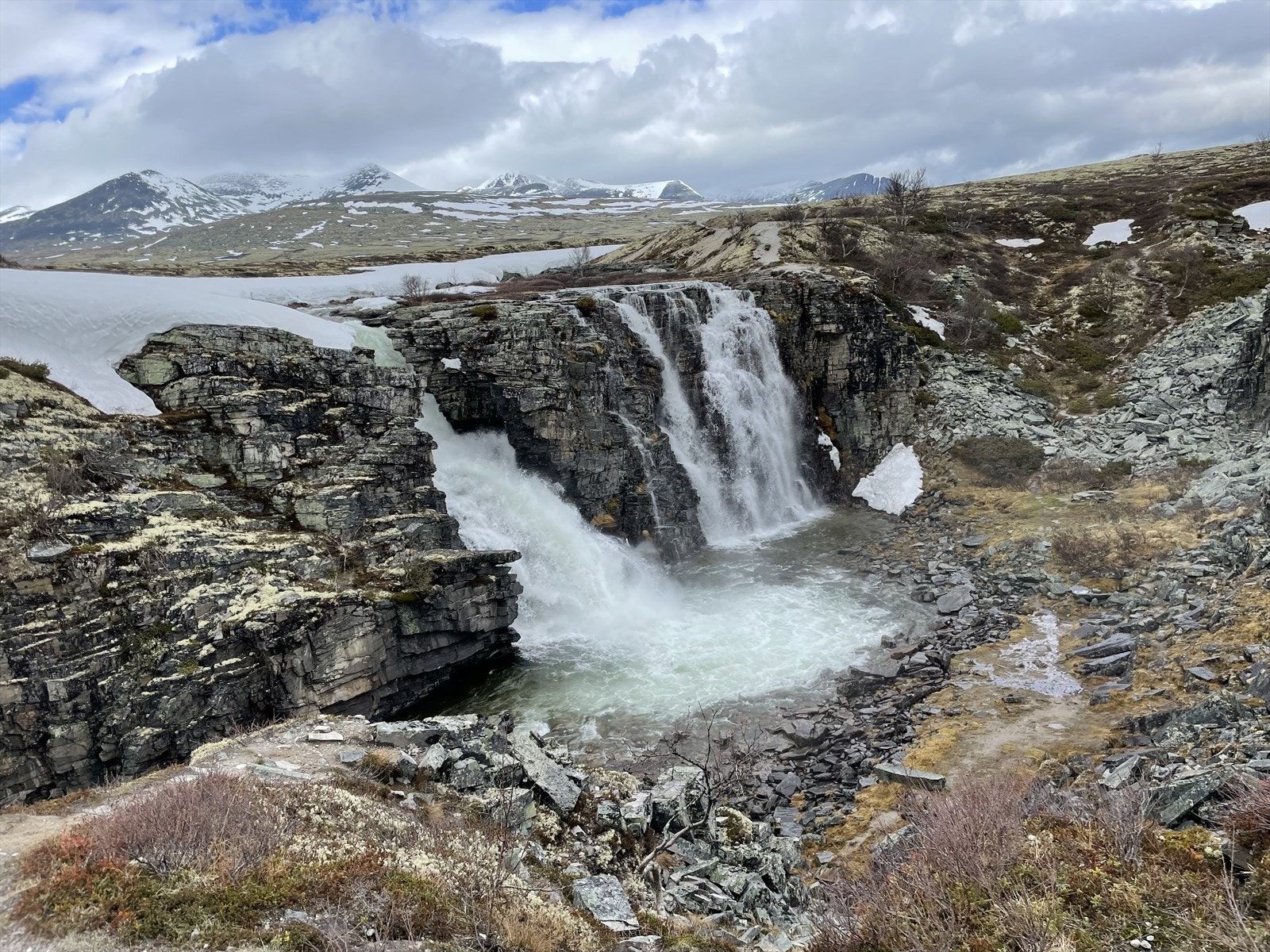 Brudesløret. Galleribilde