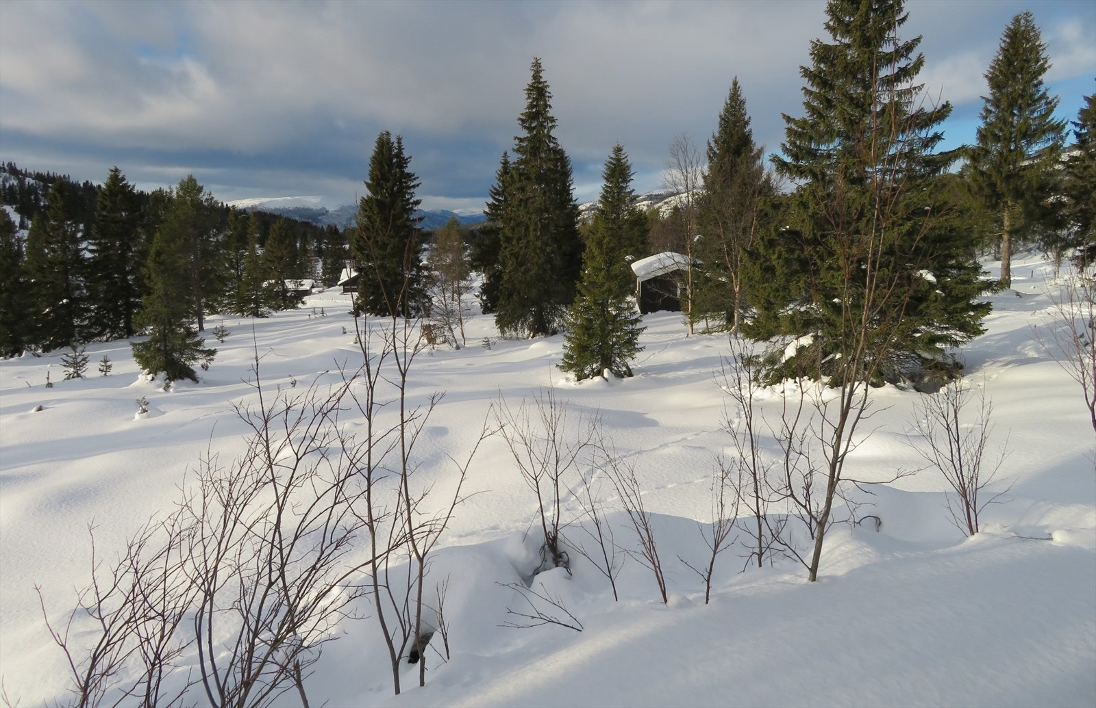 Havnsetervegen 63 og utsikt mot vest. Galleribilde