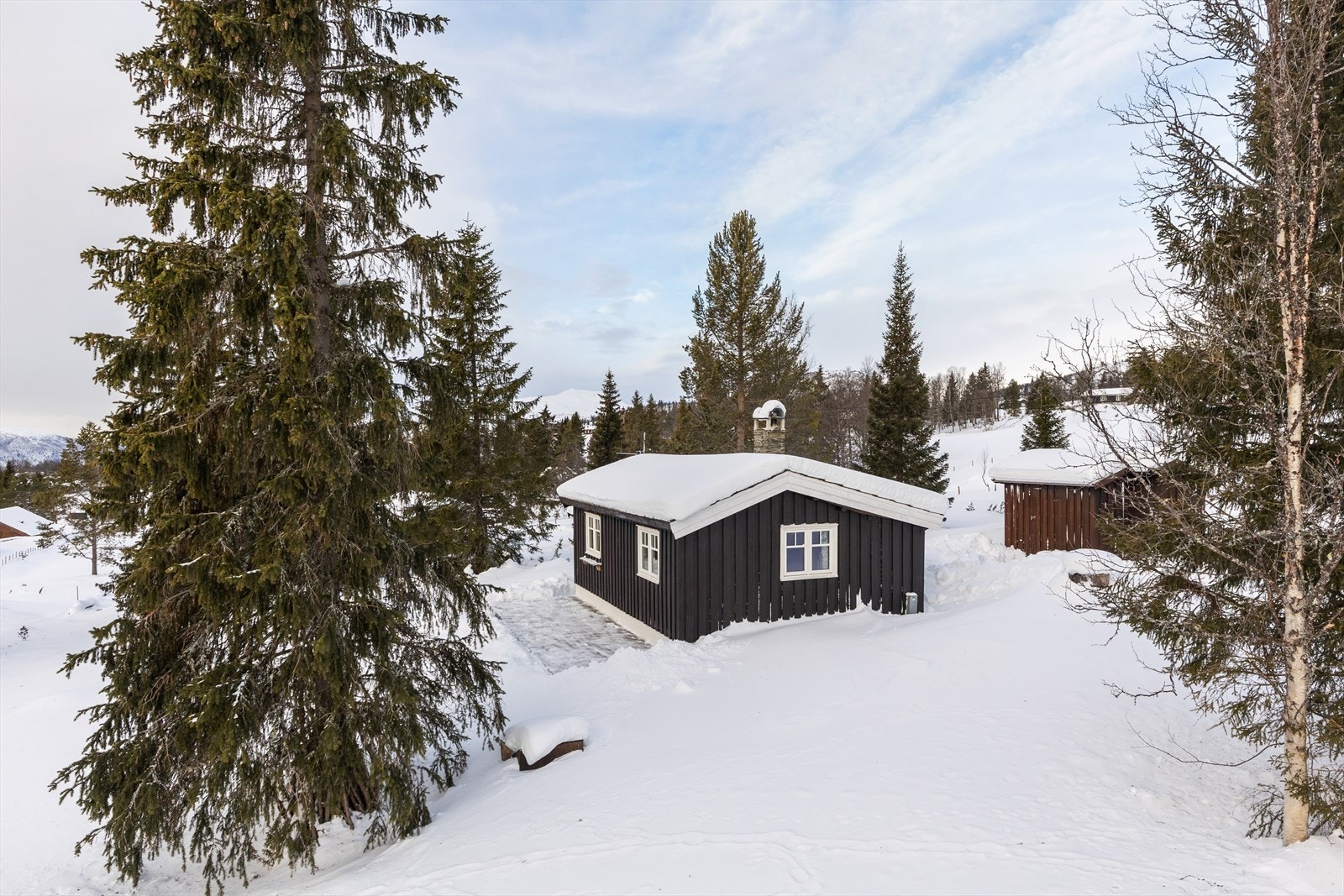 Rondane nasjonalpark ligger i umiddelbar nærhet til eiendommen, med muligheter for unike turmuligheter i flott natur både sommer og vinter. Galleribilde