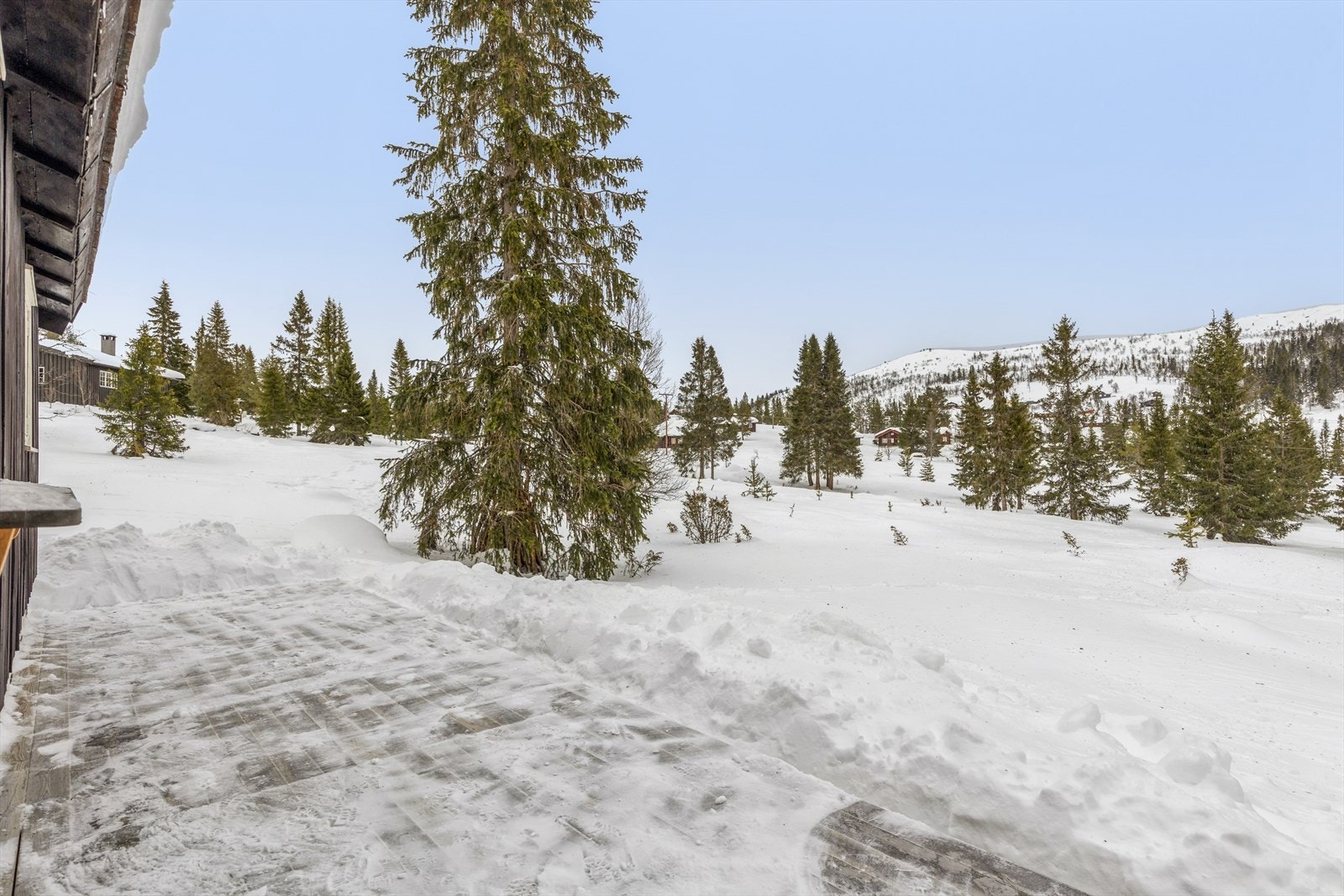 Platting og utsikt. Galleribilde