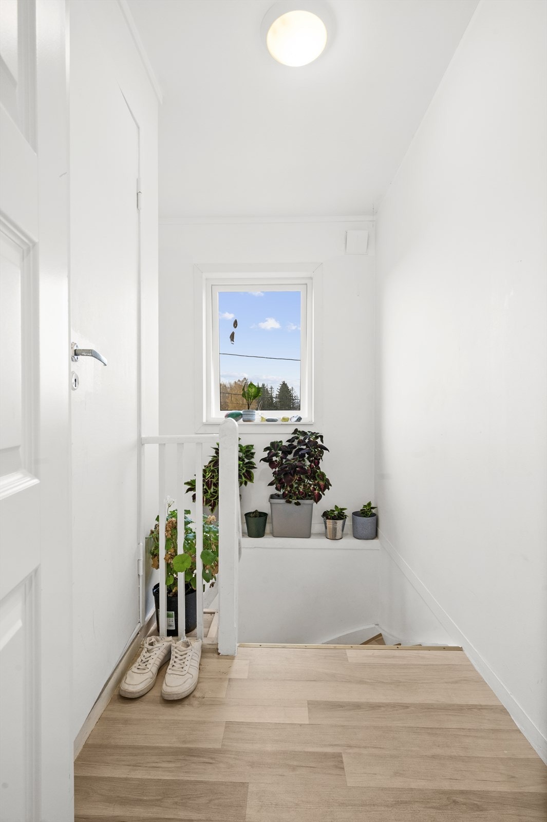 Herfra går trappen ned til entrèen. Galleribilde