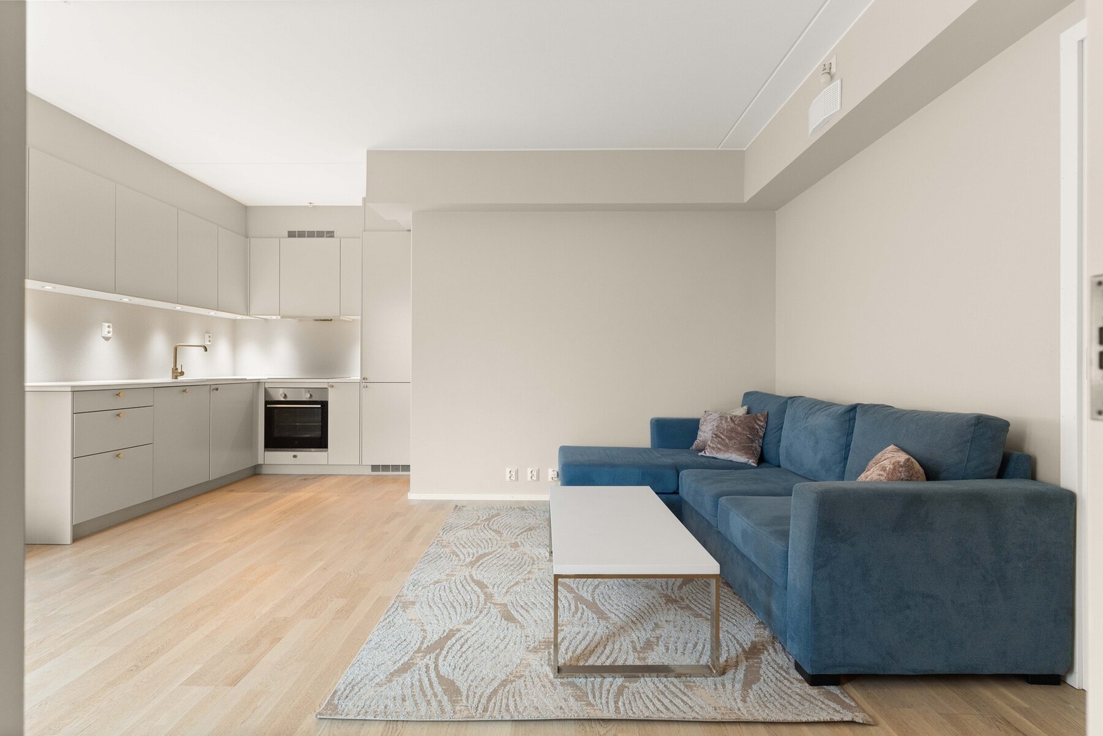 Velkommen til Swixgata 4 og denne fine 2-romsen! Foto: Isnitt v/Anders Botnmark. Galleribilde