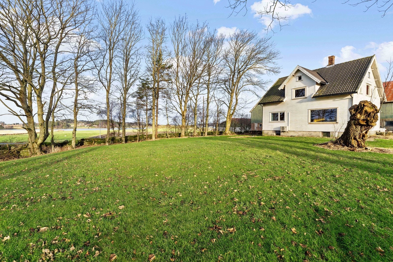 Stor fin hage Galleribilde