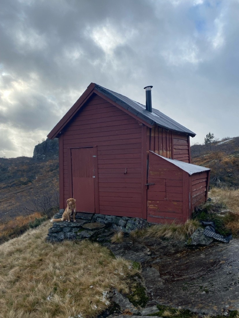 Jakt/sankebu Brekkeheia Galleribilde