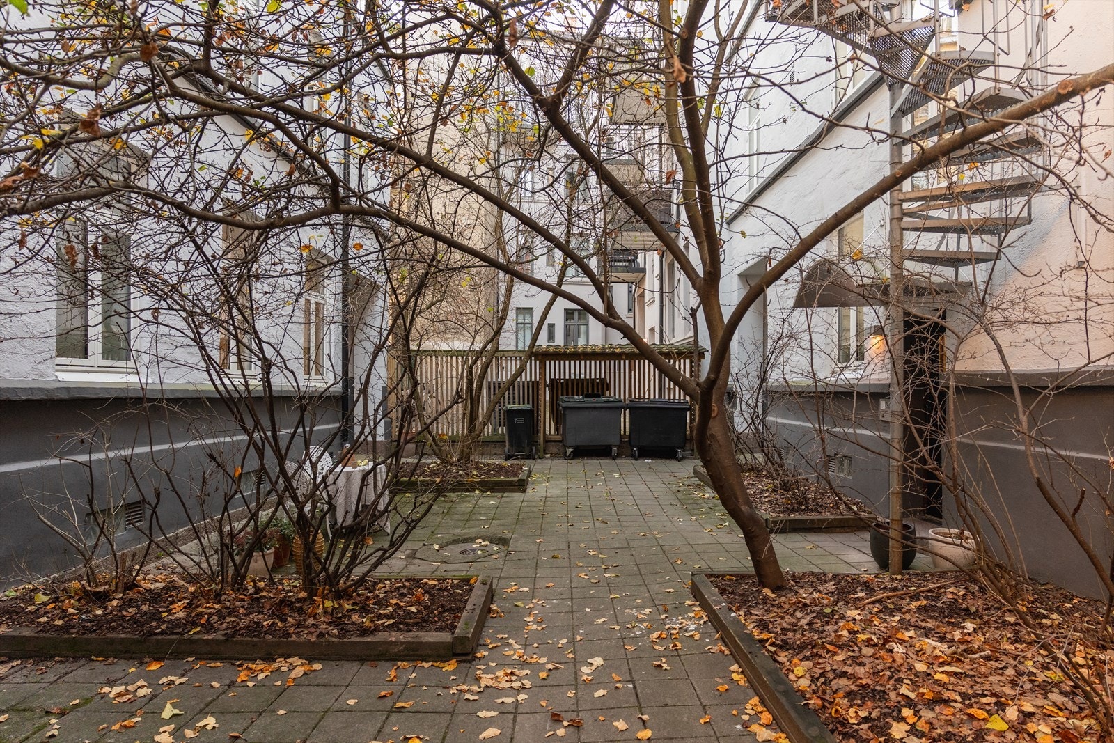 Indre gårdsrom med med trær, epletre, sykkelskur og plass til sittegrupper - koselig og frodig gjennom sommeren Galleribilde