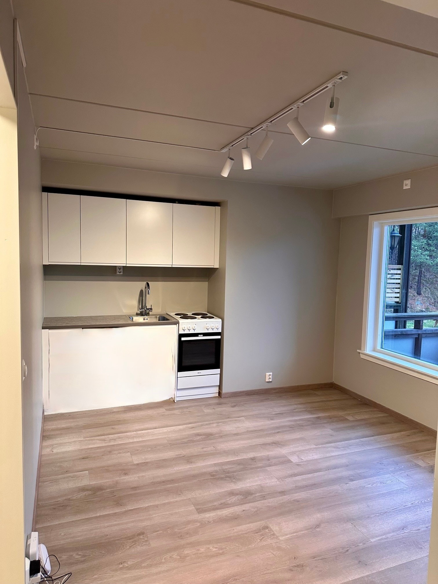 Stue/ kjøkken Galleribilde