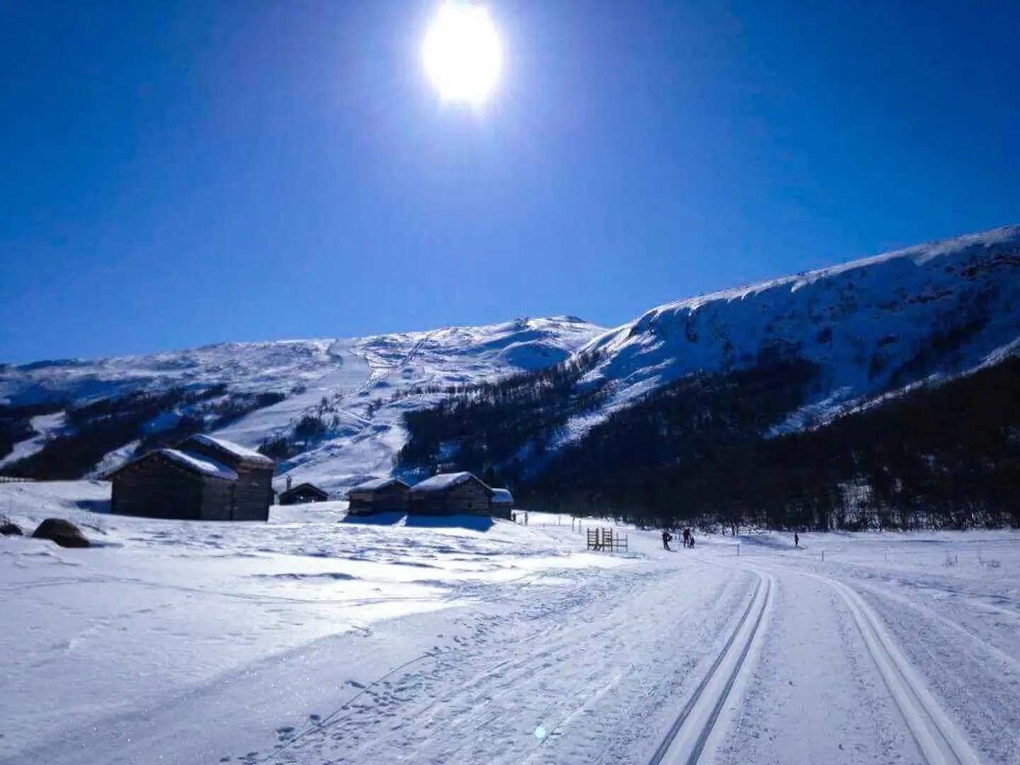 Kilometervis av skiløyper i området rundt Lemonsjøen. (Selgers bilde) Galleribilde