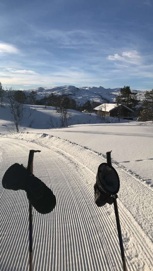 Preparerte langrennsløyper i området. Galleribilde