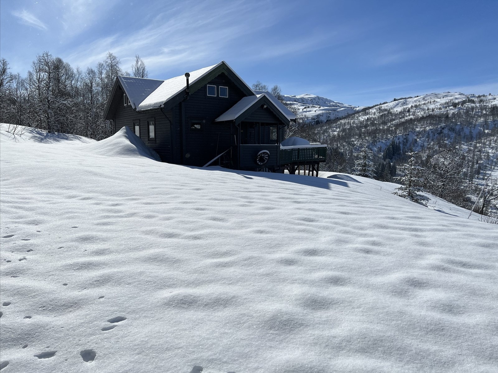 Velkommen på visning! Galleribilde