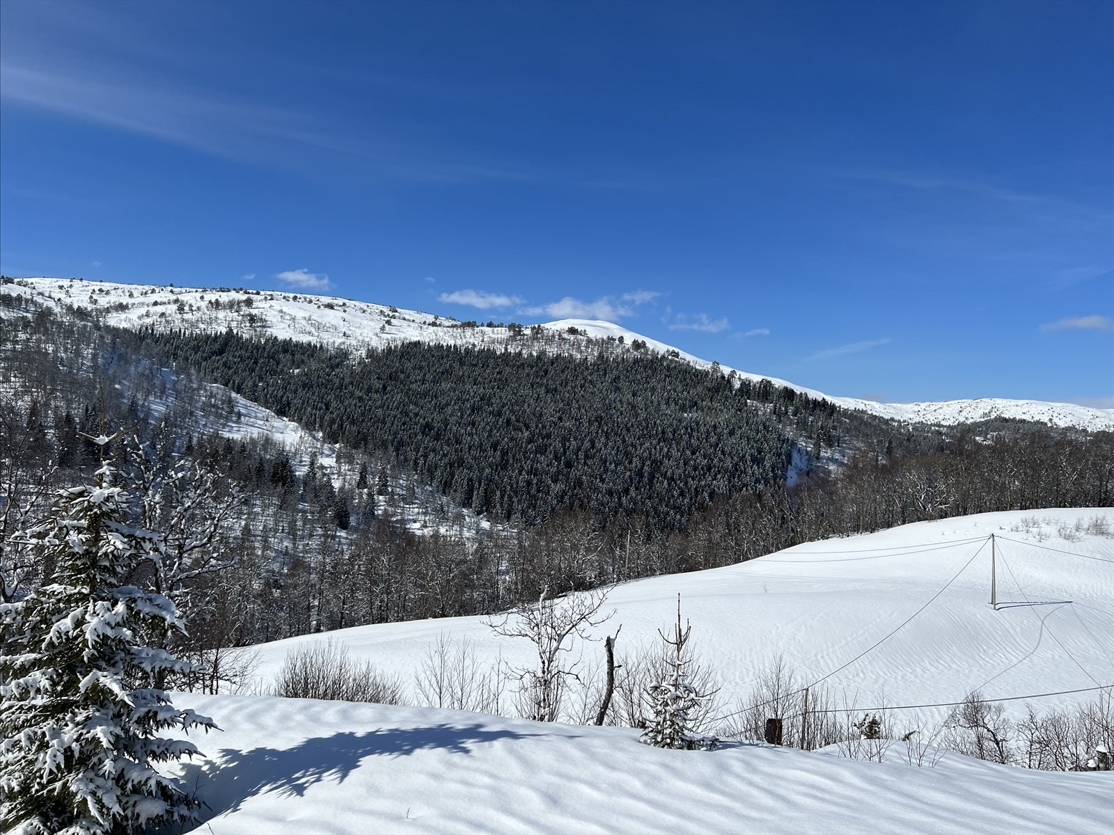 Utsikt fra terrasse. Galleribilde
