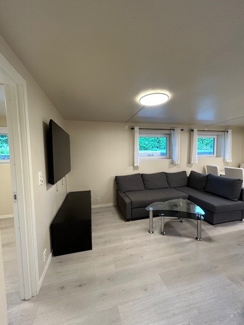 Tv-Stue Galleribilde