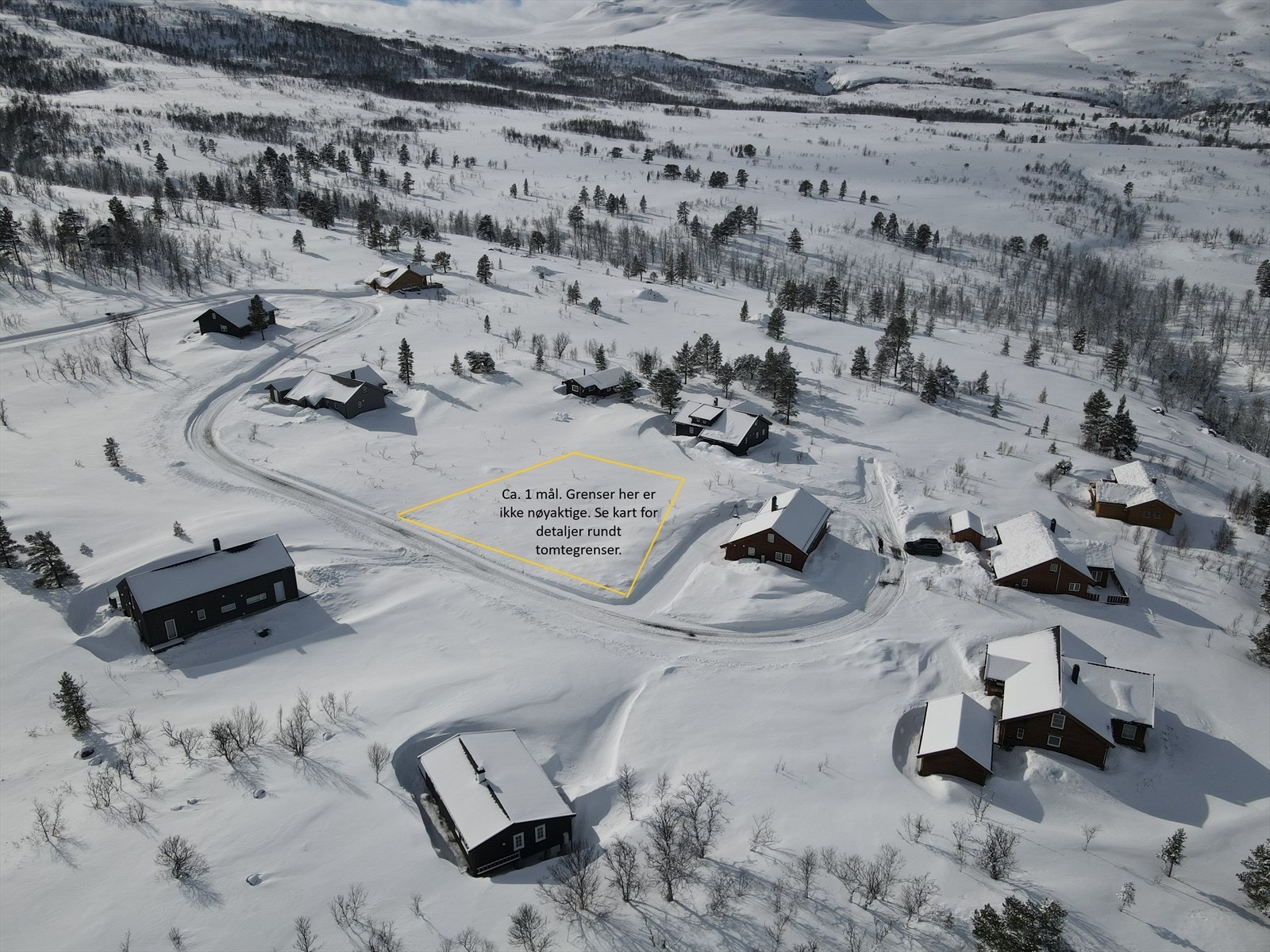 Grenser er ikke nøyaktige på bildet Galleribilde