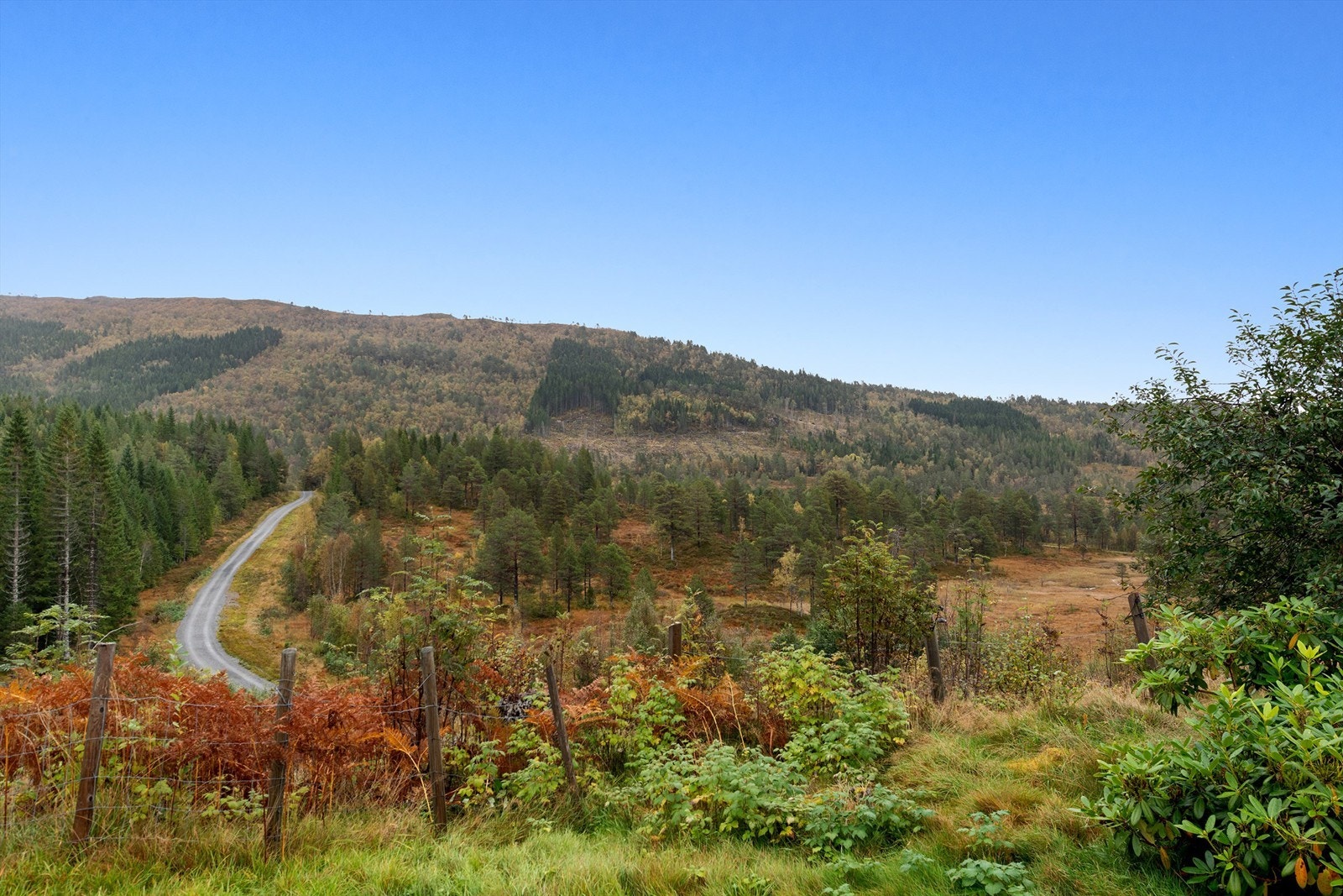 Skaret Skisenter har flotte oppkjørte langrennsløyper som passer både for barnefamilier og til treningsturer. Galleribilde
