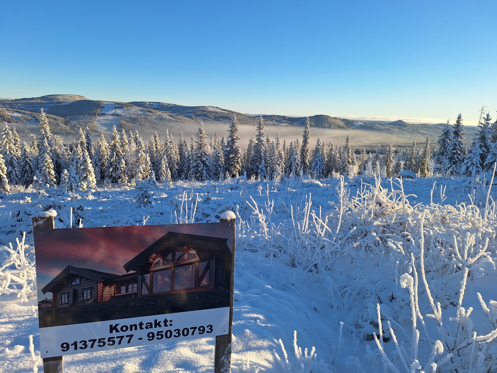 Utsikt fra tomten Galleribilde