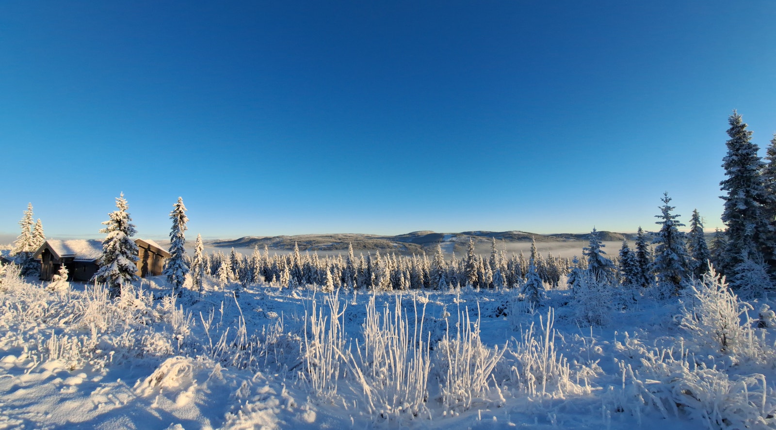 Utsikt fra tomten Galleribilde